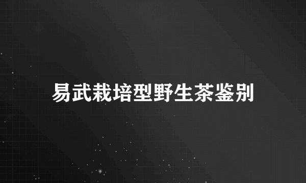 易武栽培型野生茶鉴别