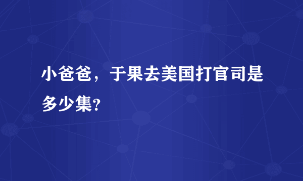 小爸爸，于果去美国打官司是多少集？