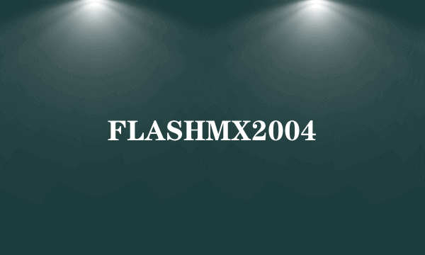 FLASHMX2004