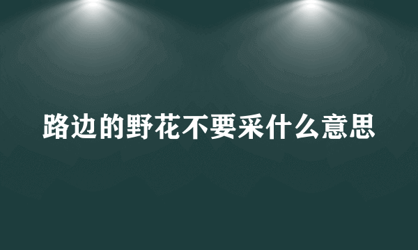 路边的野花不要采什么意思