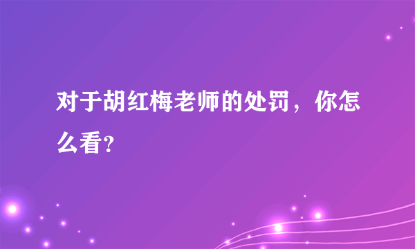 对于胡红梅老师的处罚，你怎么看？