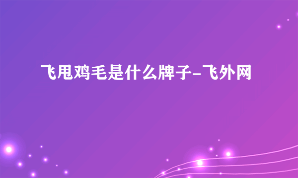 飞甩鸡毛是什么牌子-飞外网