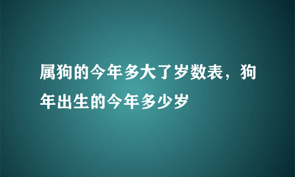 属狗的今年多大了岁数表，狗年出生的今年多少岁