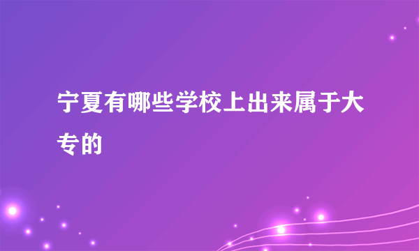 宁夏有哪些学校上出来属于大专的