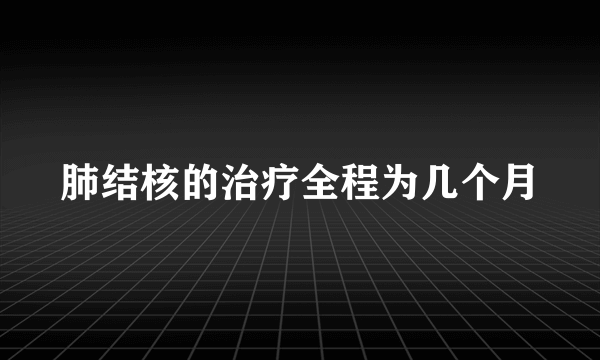 肺结核的治疗全程为几个月