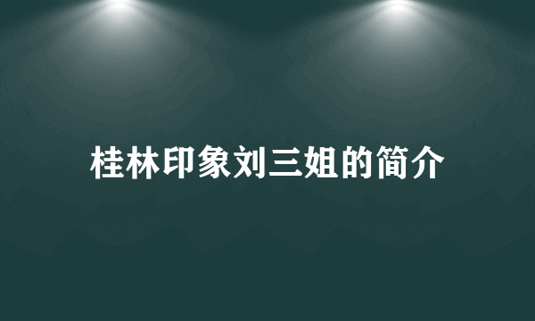 桂林印象刘三姐的简介