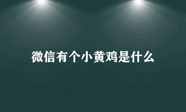 微信有个小黄鸡是什么