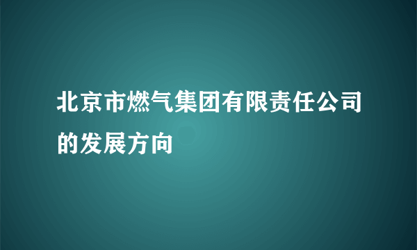 北京市燃气集团有限责任公司的发展方向