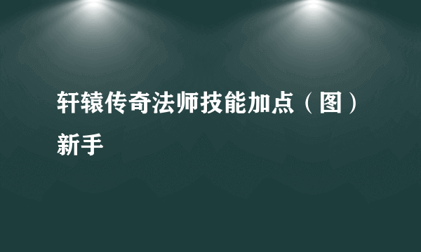 轩辕传奇法师技能加点（图）新手