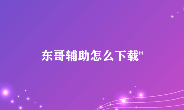 东哥辅助怎么下载