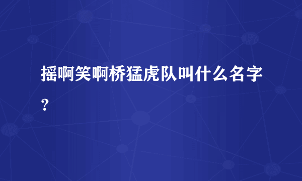 摇啊笑啊桥猛虎队叫什么名字？