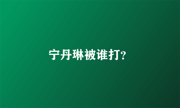 宁丹琳被谁打？