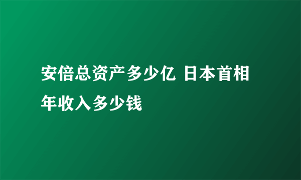 安倍总资产多少亿 日本首相年收入多少钱