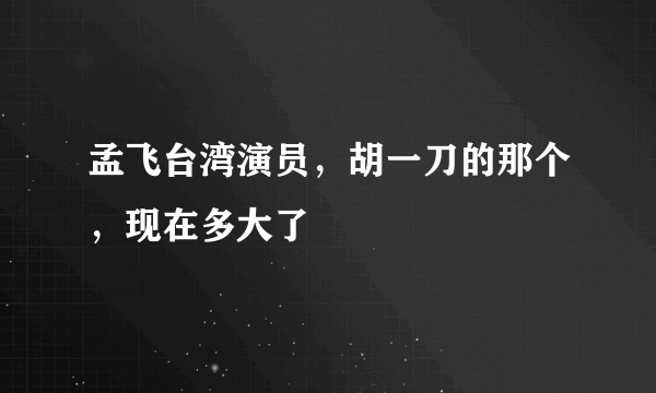 孟飞台湾演员，胡一刀的那个，现在多大了