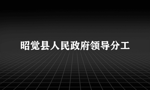 昭觉县人民政府领导分工