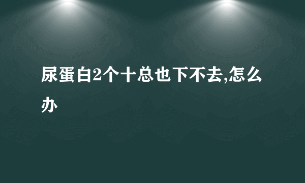 尿蛋白2个十总也下不去,怎么办