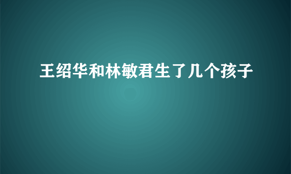 王绍华和林敏君生了几个孩子