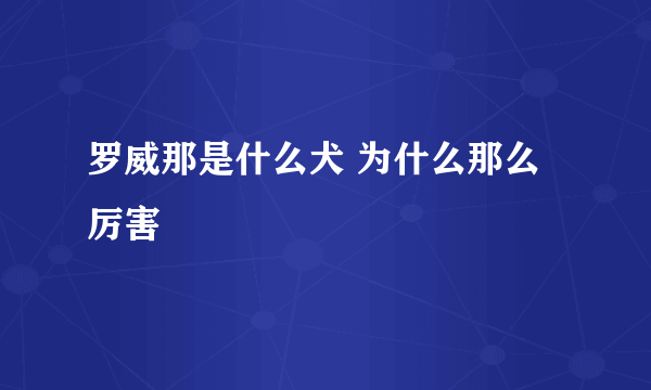 罗威那是什么犬 为什么那么厉害