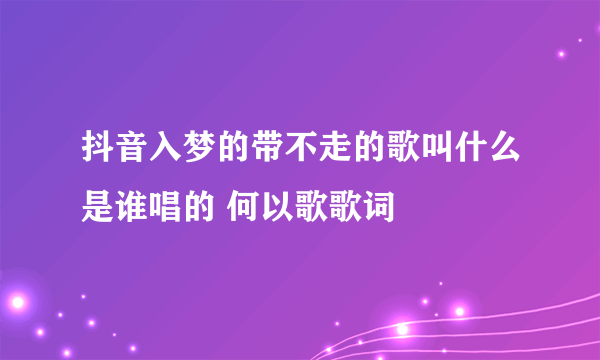 抖音入梦的带不走的歌叫什么是谁唱的 何以歌歌词