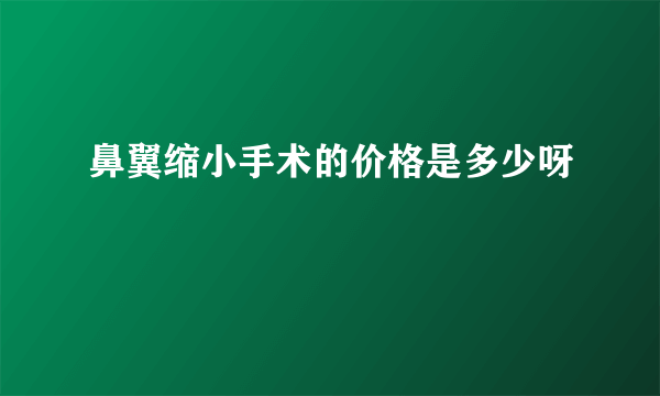 鼻翼缩小手术的价格是多少呀