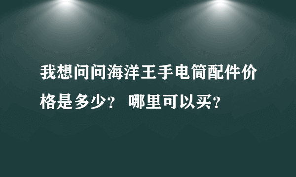 我想问问海洋王手电筒配件价格是多少？ 哪里可以买？