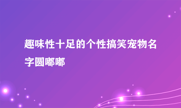 趣味性十足的个性搞笑宠物名字圆嘟嘟