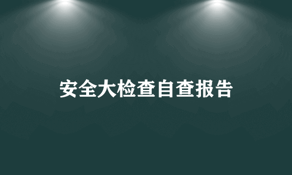 安全大检查自查报告