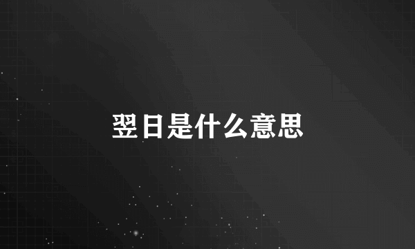 翌日是什么意思