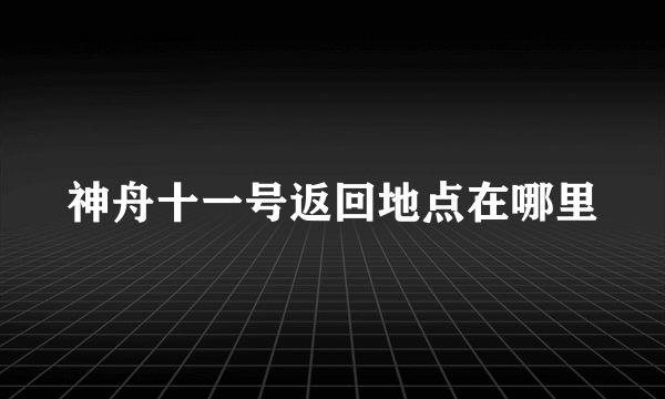 神舟十一号返回地点在哪里