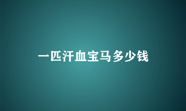 一匹汗血宝马多少钱