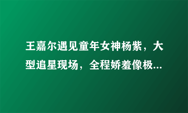 王嘉尔遇见童年女神杨紫，大型追星现场，全程娇羞像极了初恋！