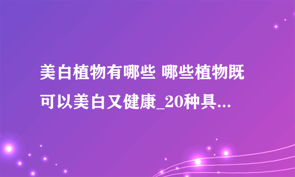 美白植物有哪些 哪些植物既可以美白又健康_20种具有美白和保湿的植物