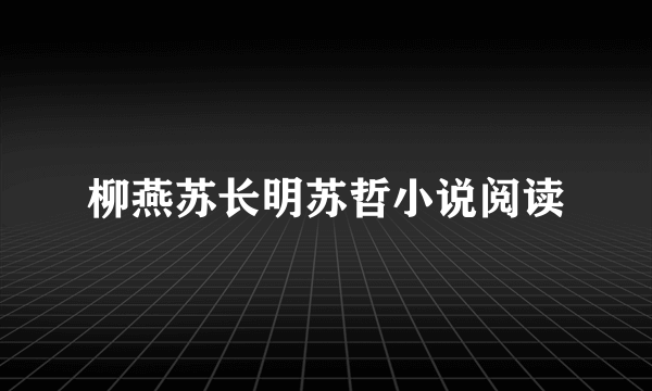 柳燕苏长明苏哲小说阅读