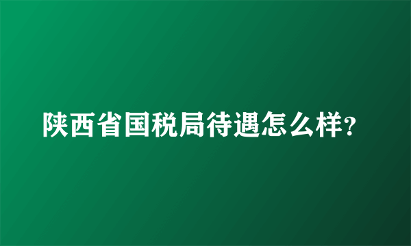 陕西省国税局待遇怎么样？