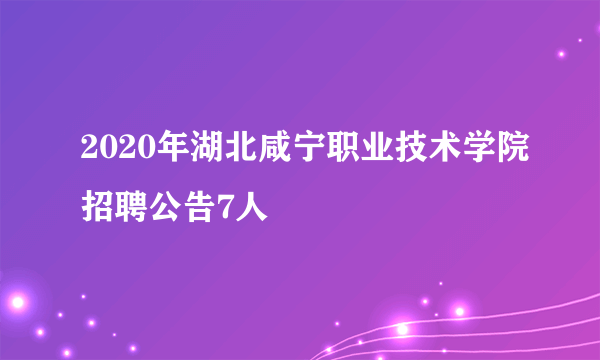 2020年湖北咸宁职业技术学院招聘公告7人