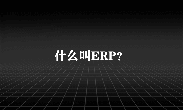 什么叫ERP？