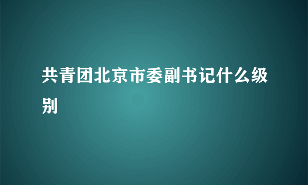 共青团北京市委副书记什么级别