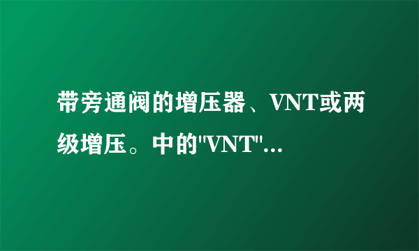 带旁通阀的增压器、VNT或两级增压。中的