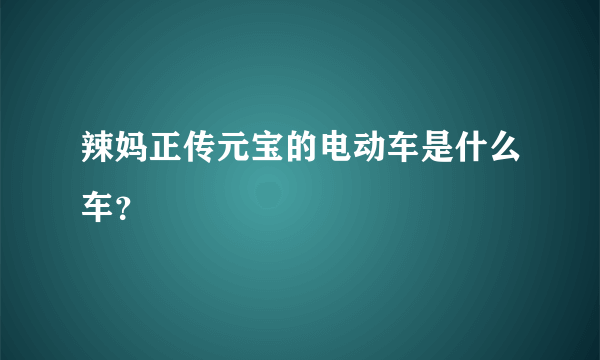 辣妈正传元宝的电动车是什么车？