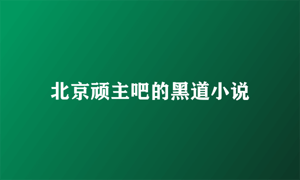 北京顽主吧的黑道小说