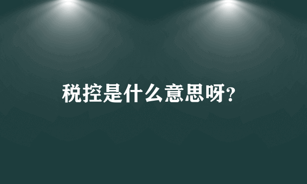 税控是什么意思呀？