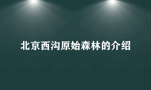 北京西沟原始森林的介绍