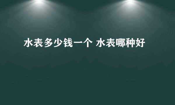 水表多少钱一个 水表哪种好