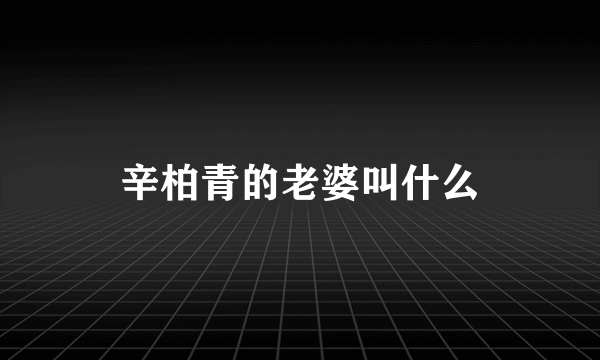 辛柏青的老婆叫什么