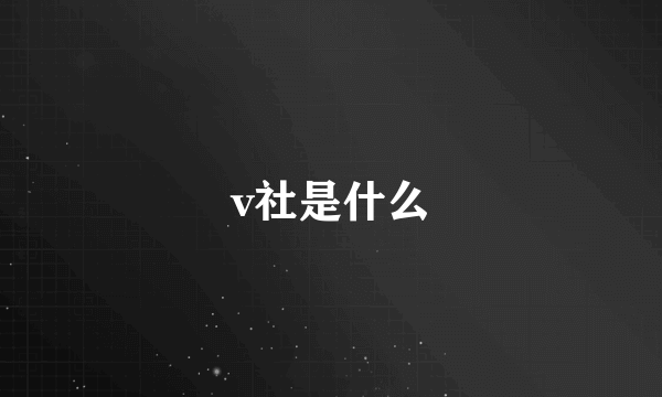 v社是什么