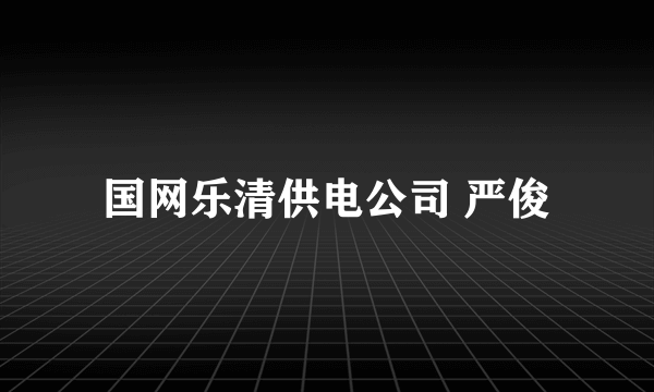 国网乐清供电公司 严俊