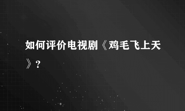 如何评价电视剧《鸡毛飞上天》？