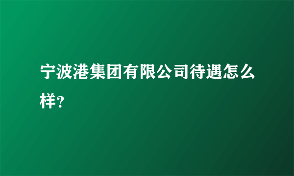 宁波港集团有限公司待遇怎么样？