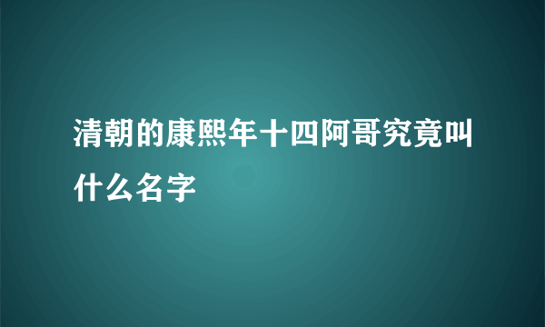 清朝的康熙年十四阿哥究竟叫什么名字