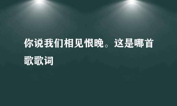 你说我们相见恨晚。这是哪首歌歌词